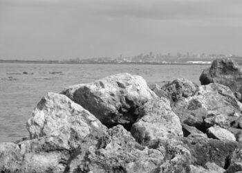 Bocas de Ceniza: Donde el Río Magdalena se Encuentra con el Mar Caribe